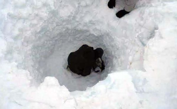 miracle in siachen soldier found alive 6 days after under 25 feet