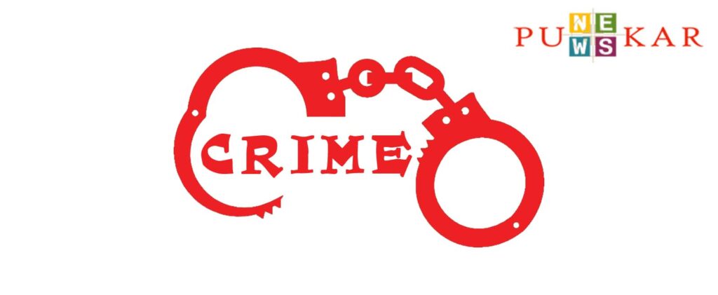 Pune: Youth Caught On CCTV Sexually Abusing Pet Dog; Arrested