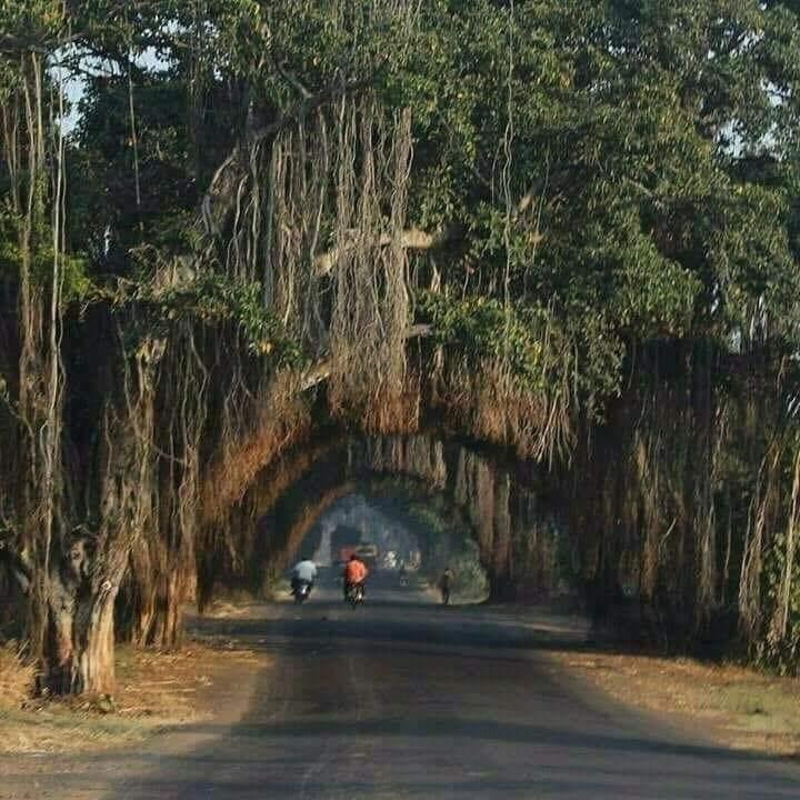 Sinhgad Road once upon a time