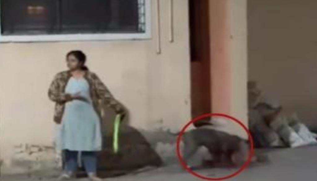 FIR Filed Against Pitbull Owner After Brutal Attack on Stray Dog in Chhatrapati Sambhajinagar
