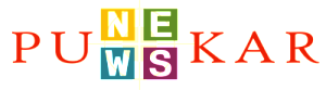 Punekar News logo