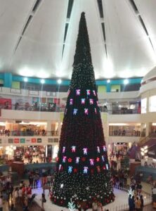 christmas amnora