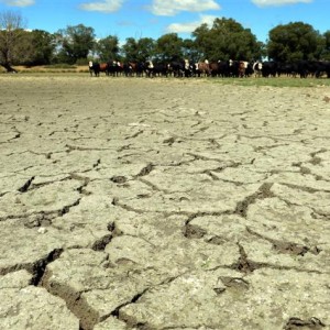 drought