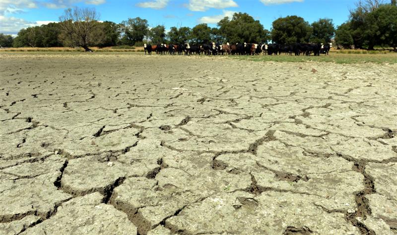 drought
