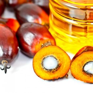 Palm oil