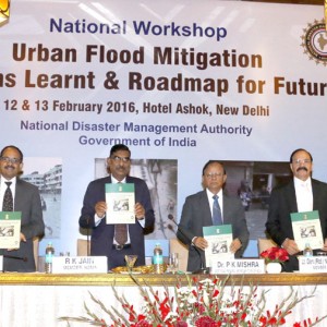 Urban Flood Mitigation