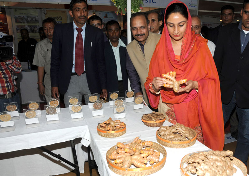 Food Processing Minister Inaugurates Vibrant NorthEast 2016 Summit and Exhibition Punekar News