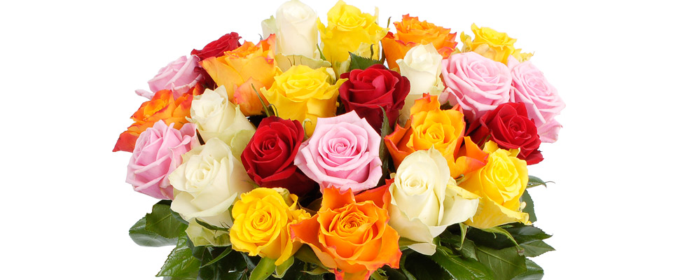 mixed roses close