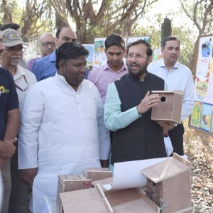 International forest Day