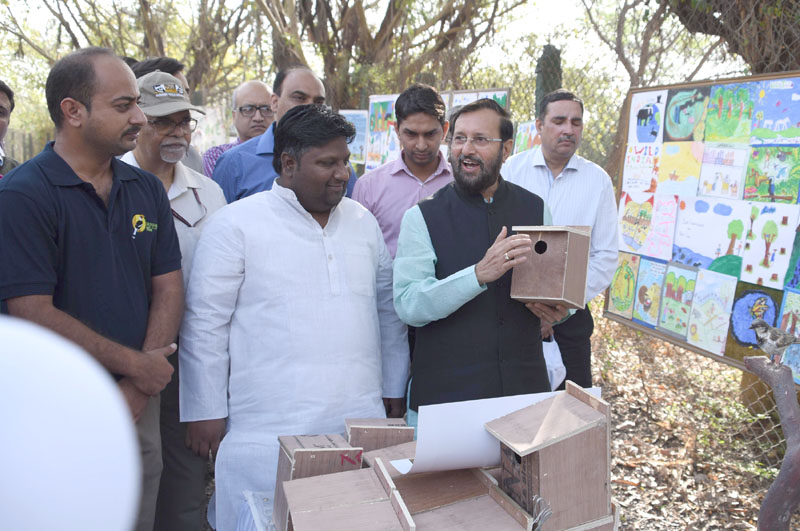 International forest Day