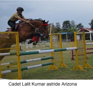 Punjab Horse Show
