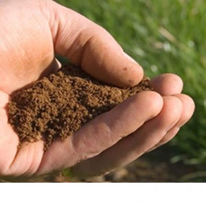 soil testing