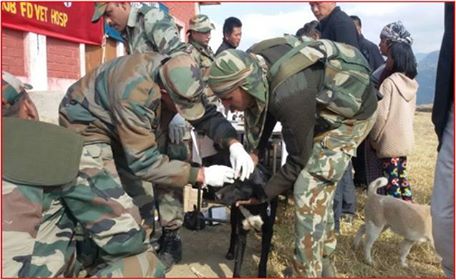 ASSAM RIFLES CONDUCTS FREE VETERINARY CAMP IN PHEK, NAGALAND