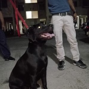 img-20180426-wa001046440607.jpg