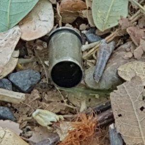 IMG-20180609-WA0018.jpg