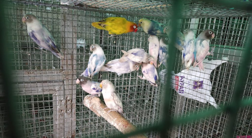 IMG-20181008-WA0031