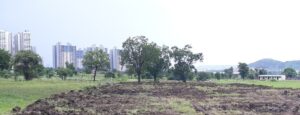 HINJ