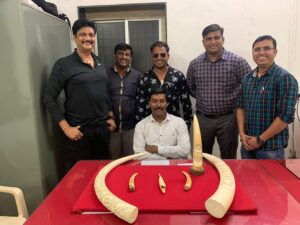 Pune Police Crime Branch team with seized elephant tusks and three teeth of other animals.
