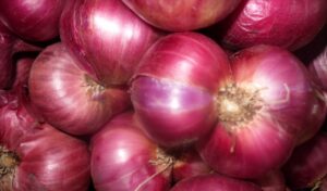 onion