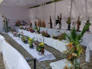 impress Garden