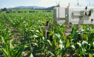 Agriculture