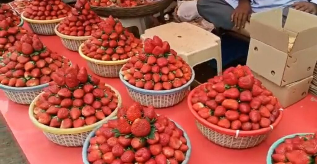 Strawberry Pune