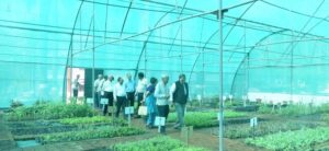 Delegates visiting newly opened Greenhouse Facility