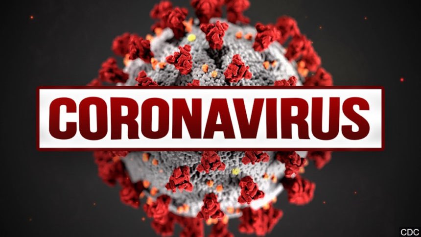 3 Government 2 Private Labs Testing Coronavirus Samples In Pune