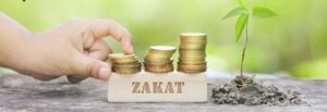 zakat AMP