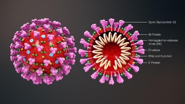 Corona virus The story of Heist