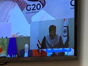 G-20 Trade Ministers meeting