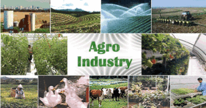 agroindustry
