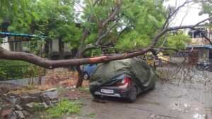 A car damaged due to tree fall in Pune