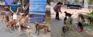 Bhosale Nagar dog feeder family Pune