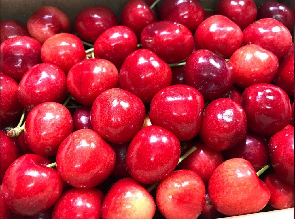 Kashmiri cherries in Pune market