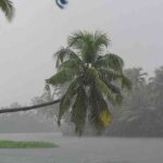 Rainy Season Begins as Southwest Monsoon Arrives in Kerala, Three Days Behind Schedule
