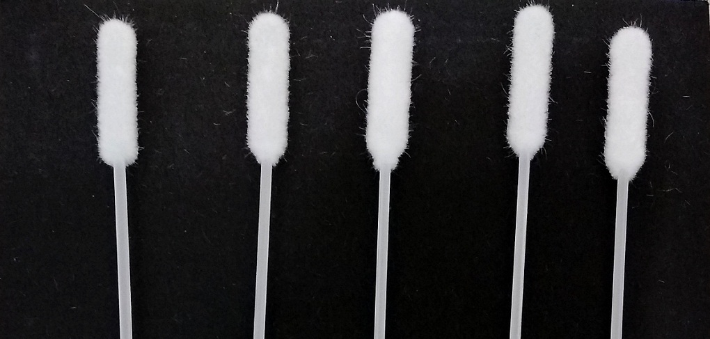 NCL Pune Nasopharyngeal Swabs Samples