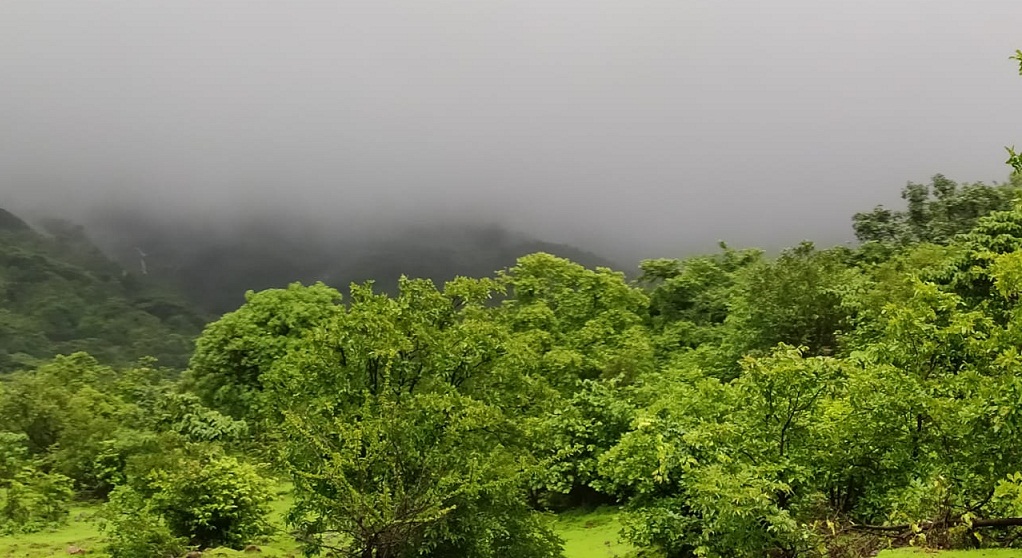 Tamhini ghat