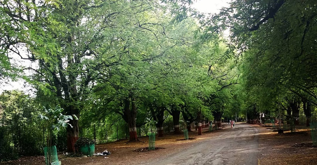 Walk in Agriculture college Pune