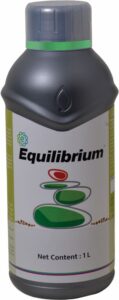 Equilibrium Green band