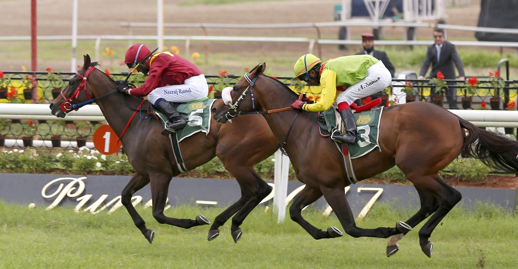 horse race Pune