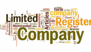 Company