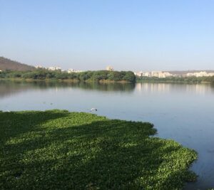 PASHAN LAKE