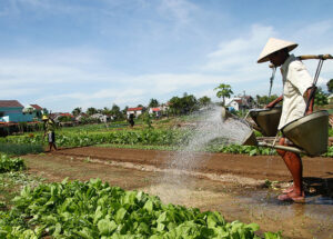 agriculture