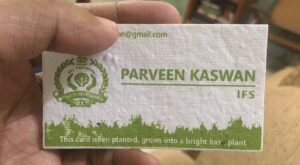 parveen kaswan tulsi