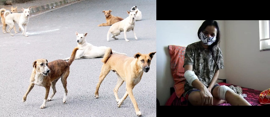 dog attack Pune woman Hinjawadi