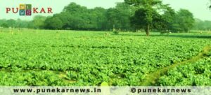 Agriculture