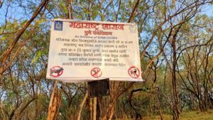 Kondhwa: Pet Animals Banned At NIBM Reserve Forest