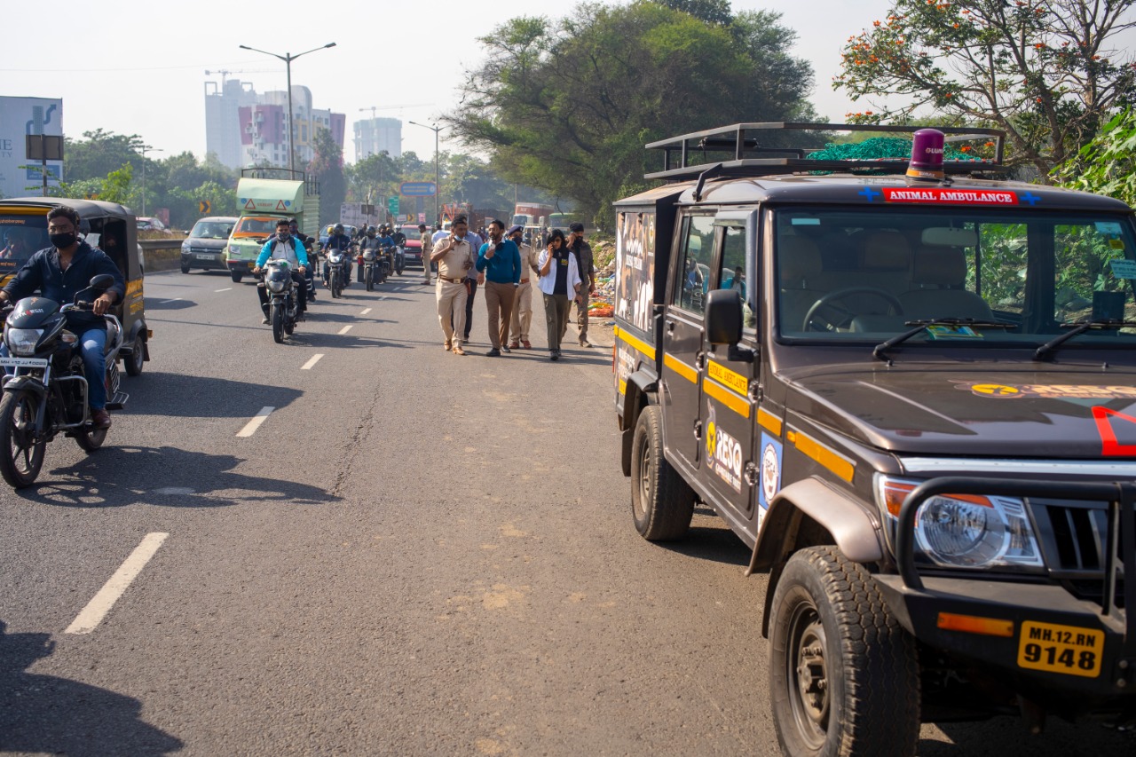 Man-Animal Conflict: Pune Forest Department Wants Nodal Officers For Better Communication During Rescue Operations – Punekar News Man-Animal Conflict: Pune Forest Department Wants Nodal Officers For Better Communication During Rescue Operations – Punekar News