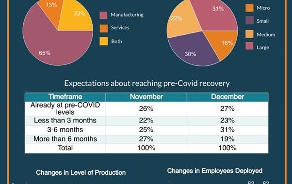 MCCIA Survey